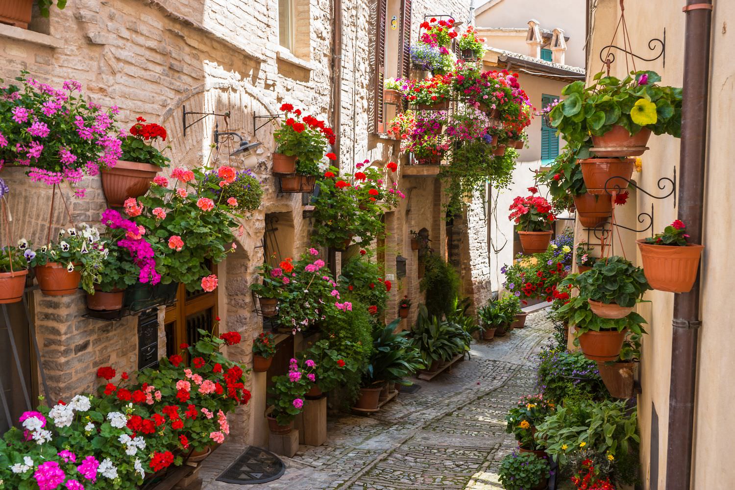 Фотообои переулок в цветах